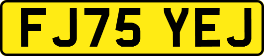 FJ75YEJ