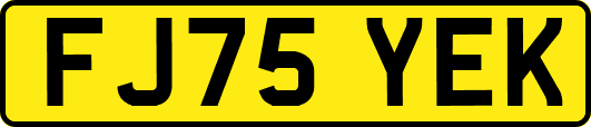 FJ75YEK