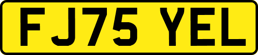 FJ75YEL