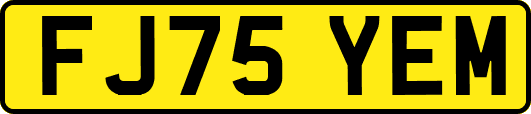 FJ75YEM