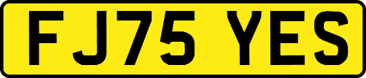 FJ75YES