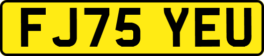 FJ75YEU