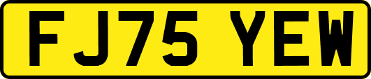 FJ75YEW