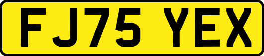 FJ75YEX