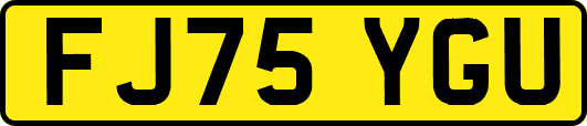 FJ75YGU