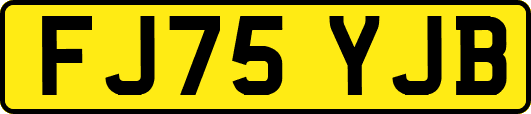 FJ75YJB