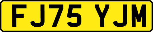 FJ75YJM