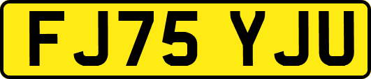 FJ75YJU