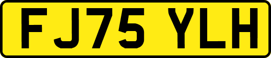 FJ75YLH