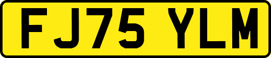 FJ75YLM