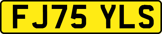 FJ75YLS