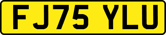 FJ75YLU