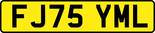 FJ75YML