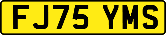 FJ75YMS