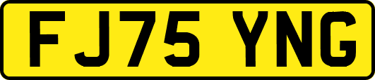 FJ75YNG
