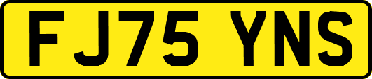 FJ75YNS