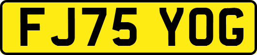FJ75YOG