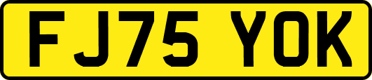 FJ75YOK