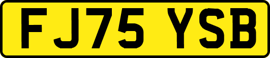 FJ75YSB