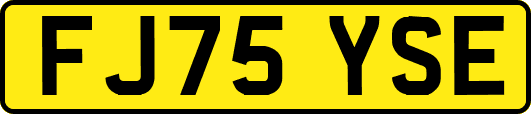 FJ75YSE