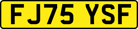 FJ75YSF