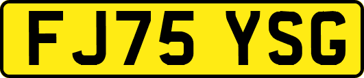 FJ75YSG
