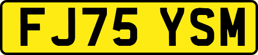 FJ75YSM