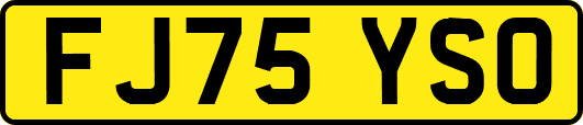 FJ75YSO