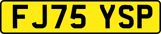 FJ75YSP