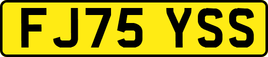FJ75YSS