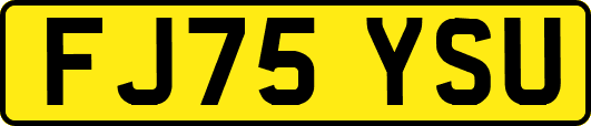 FJ75YSU