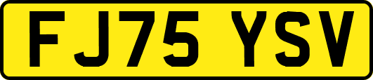 FJ75YSV