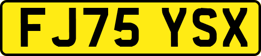 FJ75YSX