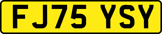 FJ75YSY