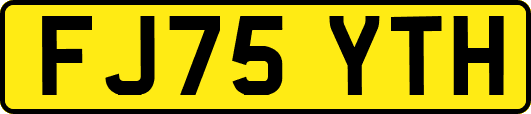 FJ75YTH