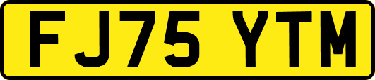FJ75YTM