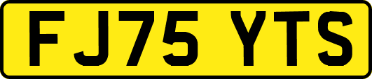 FJ75YTS