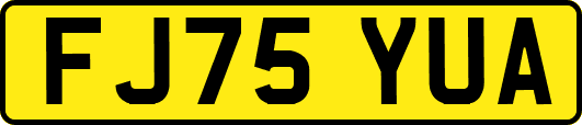 FJ75YUA