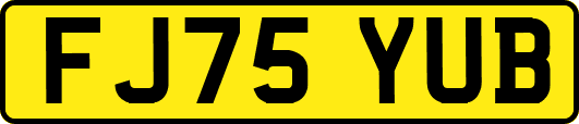 FJ75YUB