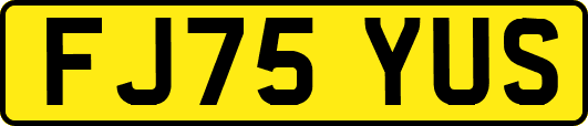 FJ75YUS