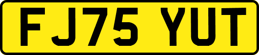 FJ75YUT