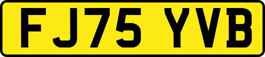 FJ75YVB