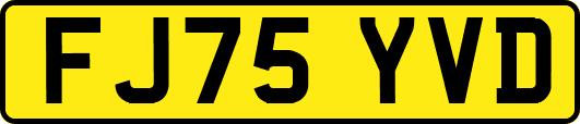 FJ75YVD