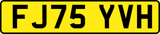 FJ75YVH