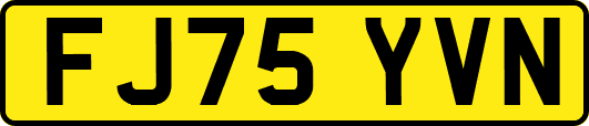 FJ75YVN