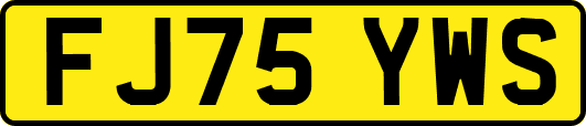 FJ75YWS