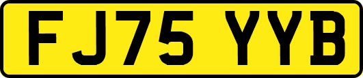 FJ75YYB