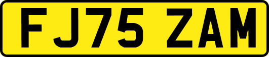 FJ75ZAM