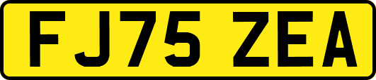 FJ75ZEA