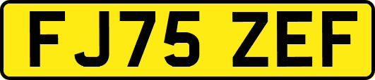 FJ75ZEF